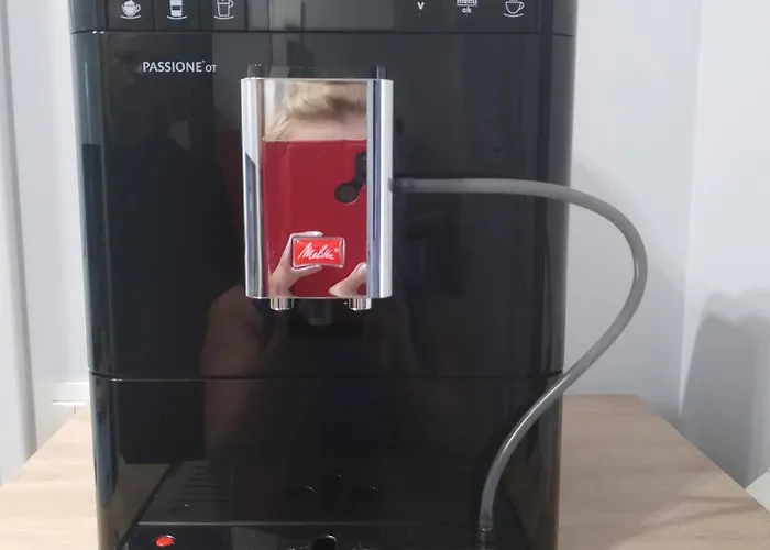 Capital شقة زاتور